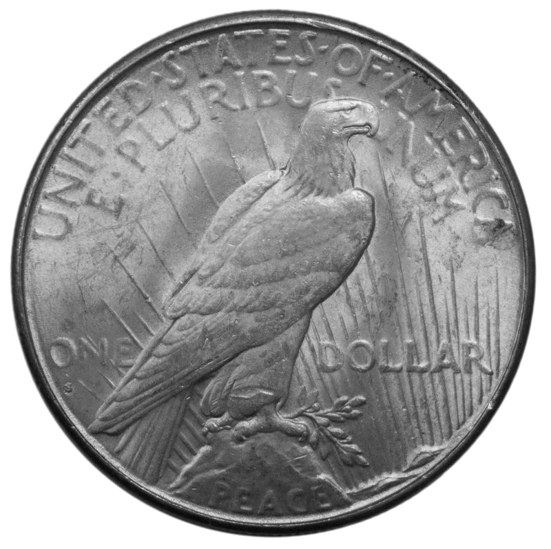 1928 -S  Peace Silver Dollar - Choice AU Condition (AP 8013)