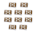 Empty Plastic Lens with Brown Insert Holds 5 Quarters, 10 Pack