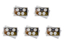 Empty Plastic Lens with Brown Type A Insert Holds 4 small dollars, 5 Pack