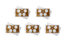 Empty Plastic Lens with Brown Insert Holds 4 small dollars, 5 Pack