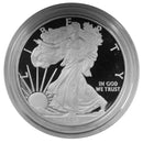 2008 W American Eagle Silver Proof 1 oz dollar - w/box & Coa