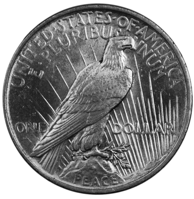 1924 -P  Peace Silver Dollar - Choice AU Condition (AP 8014)