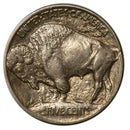 1913 -P Buffalo Nickel Type 1 w full horn - Choice BU Condition (9105)